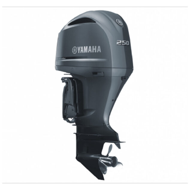 Мотор Yamaha F250HETX